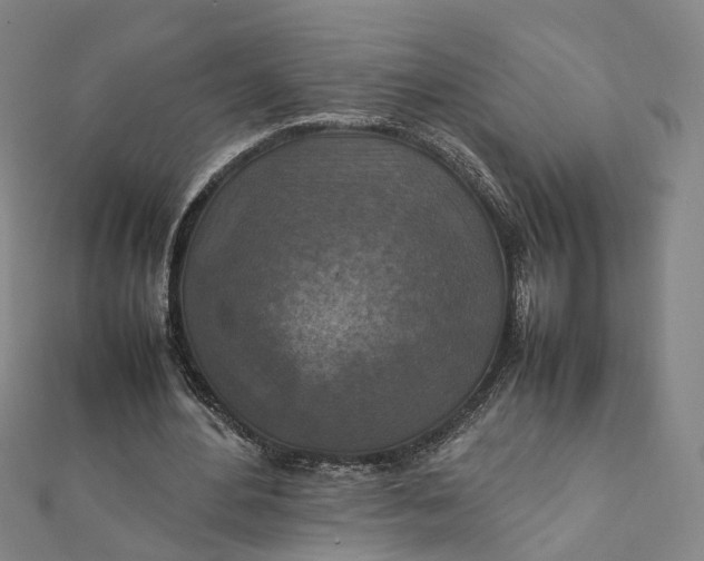 X0000112010484200908241458