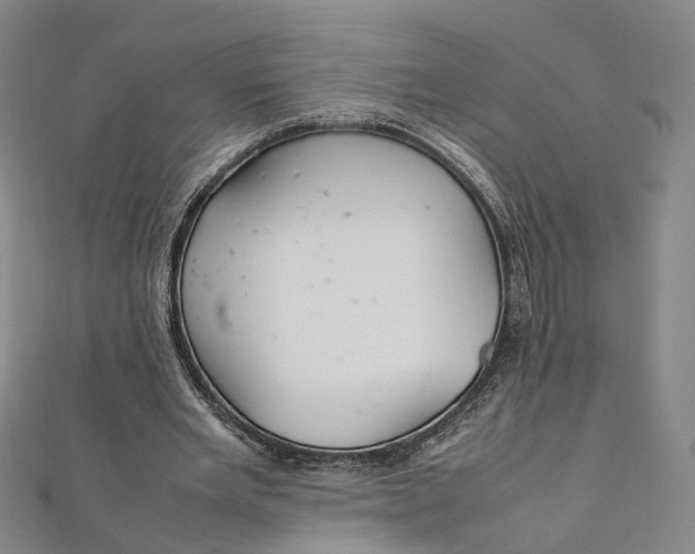 X0000112010485200908241458