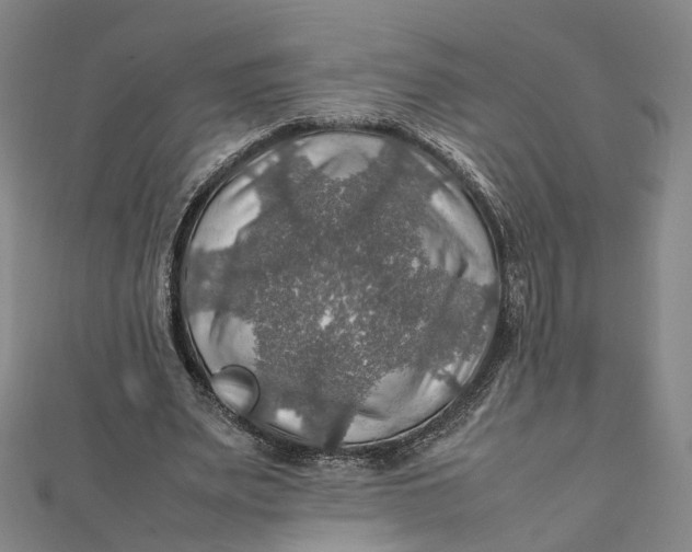 X0000112010487200908241458