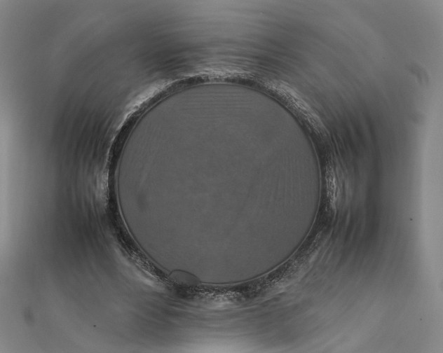 X0000112010488200908241458