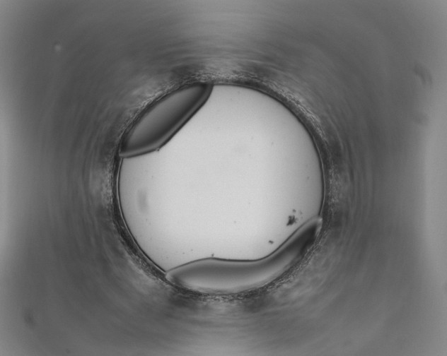 X0000112010489200908241458