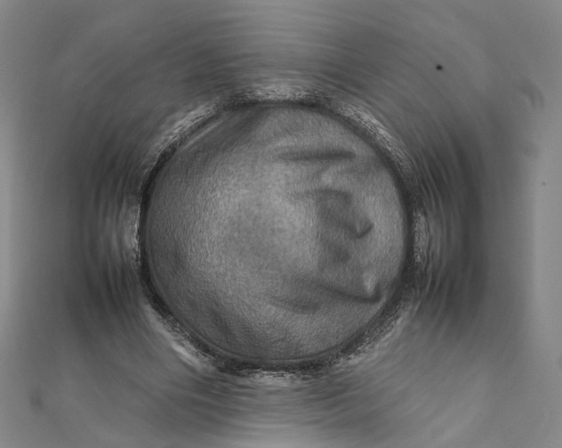 X0000112010490200908241458