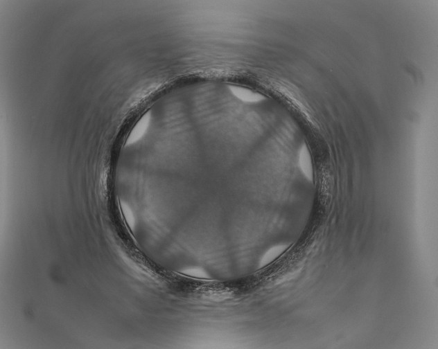 X0000112010491200908241458