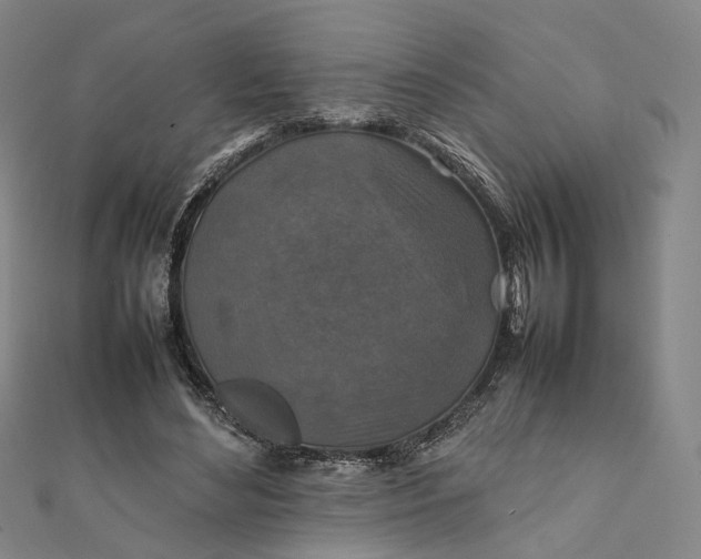 X0000112010492200908241458