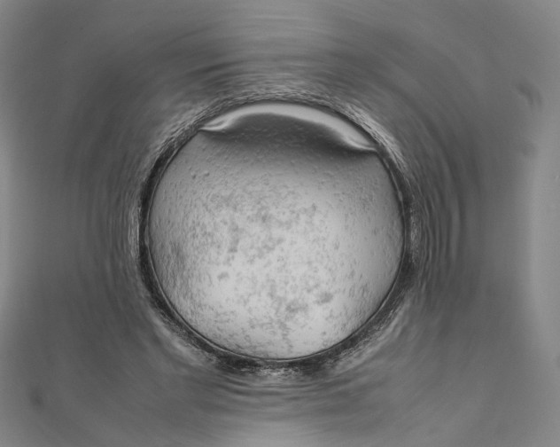 X0000112010493200908241458