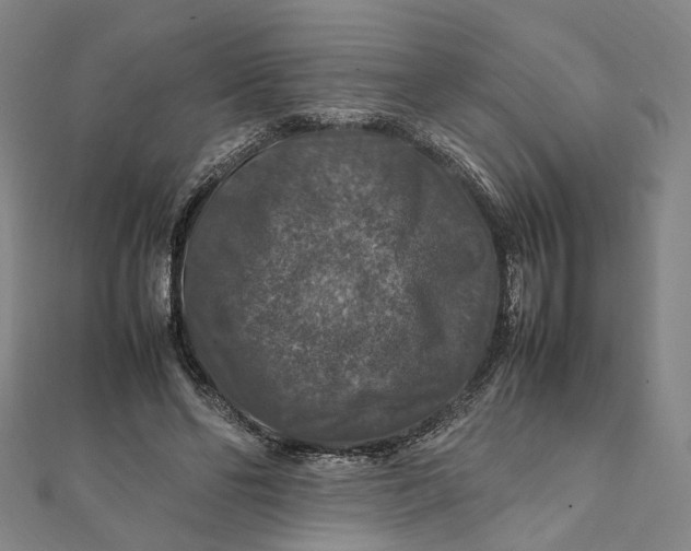 X0000112010494200908241458