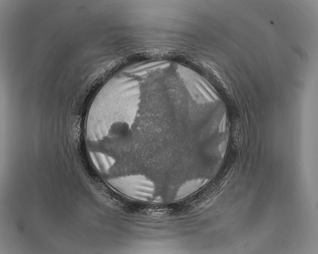 X0000112010495200908241458