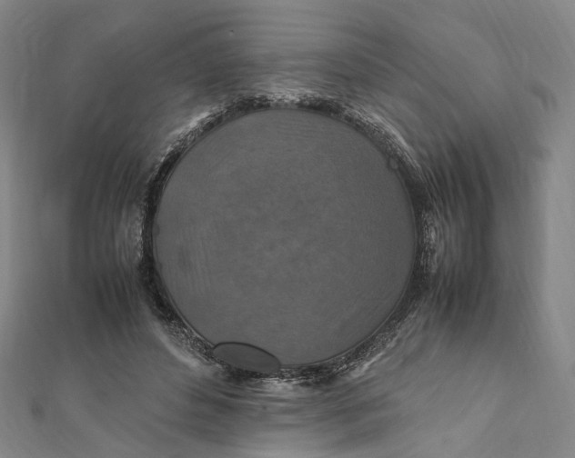 X0000112010496200908241458