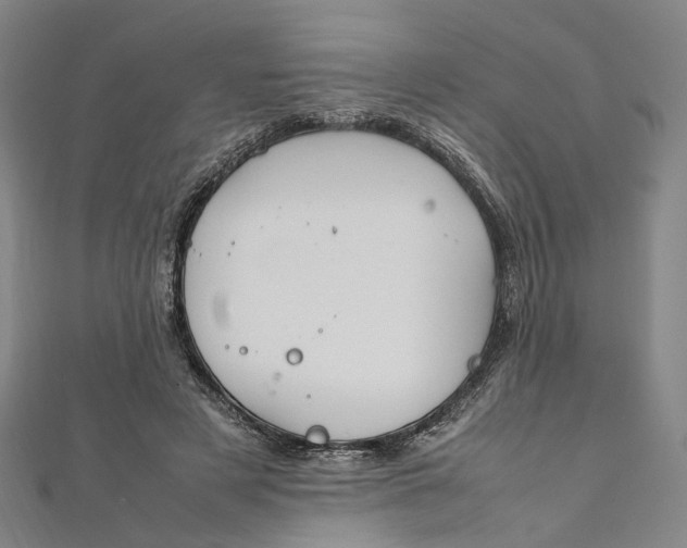 X0000112010497200908241458