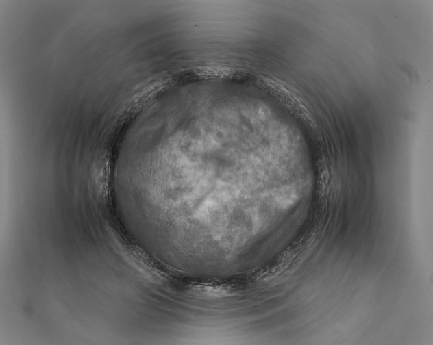 X0000112010498200908241458