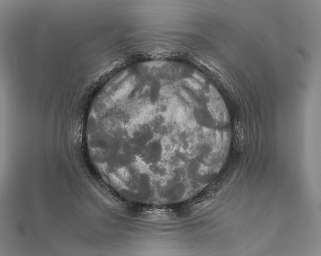 X0000112010499200908241458