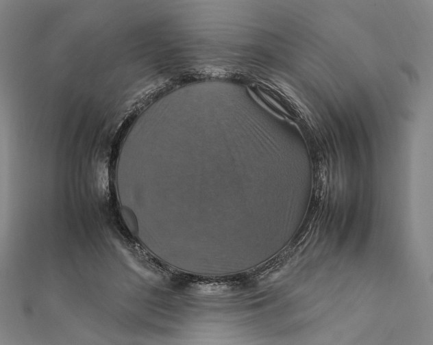 X0000112010500200908241458