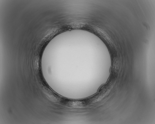 X0000112010501200908241458