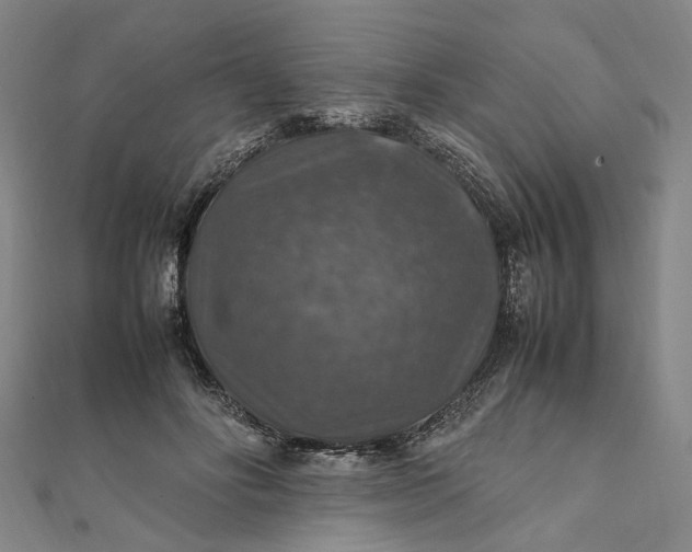 X0000112010502200908241458