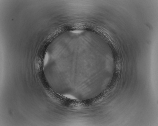 X0000112010503200908241458