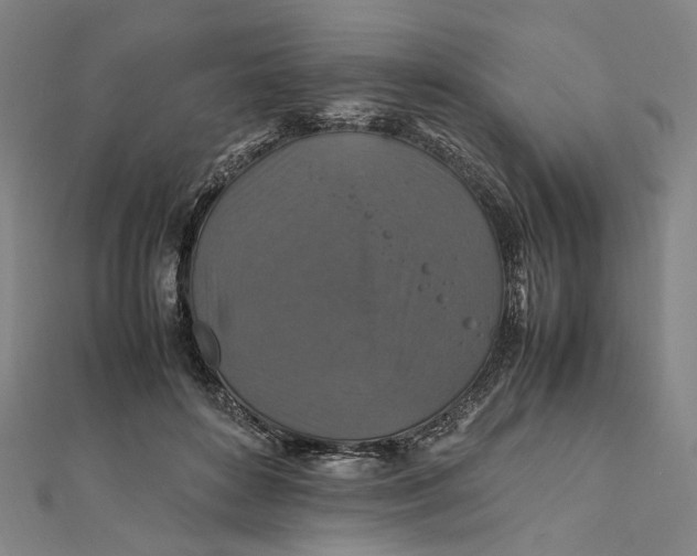 X0000112010504200908241458