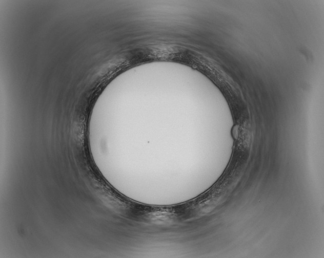 X0000112010505200908241458