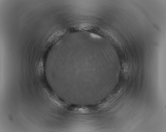 X0000112010506200908241458