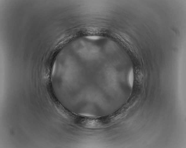 X0000112010507200908241458