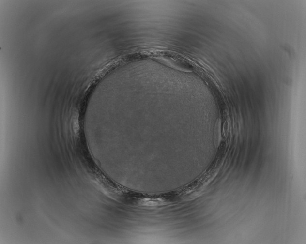 X0000112010508200908241458