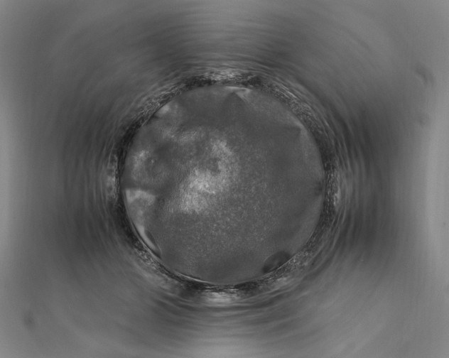 X0000112010510200908241458