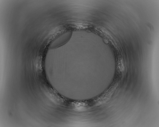 X0000112010512200908241458