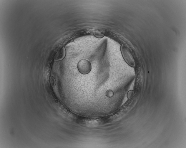 X0000112010513200908241457