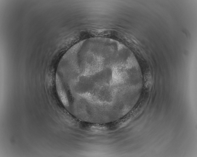 X0000112010515200908241457