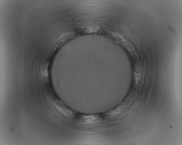 X0000112010516200908241457