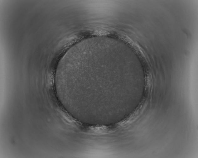 X0000112010517200908241457