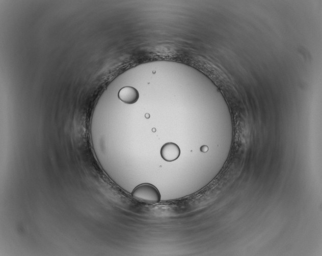 X0000112010518200908241457