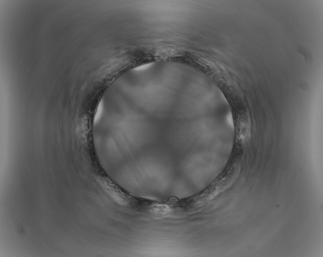 X0000112010519200908241457