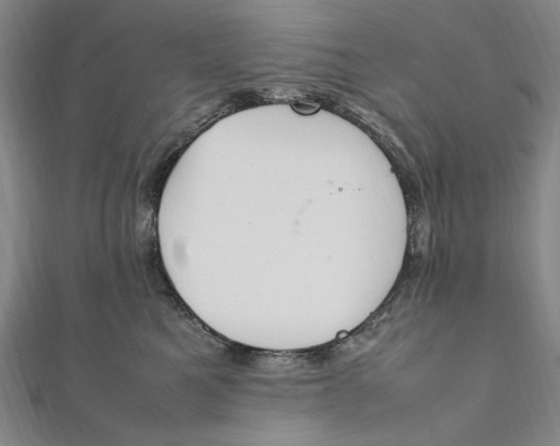 X0000112010521200908241457