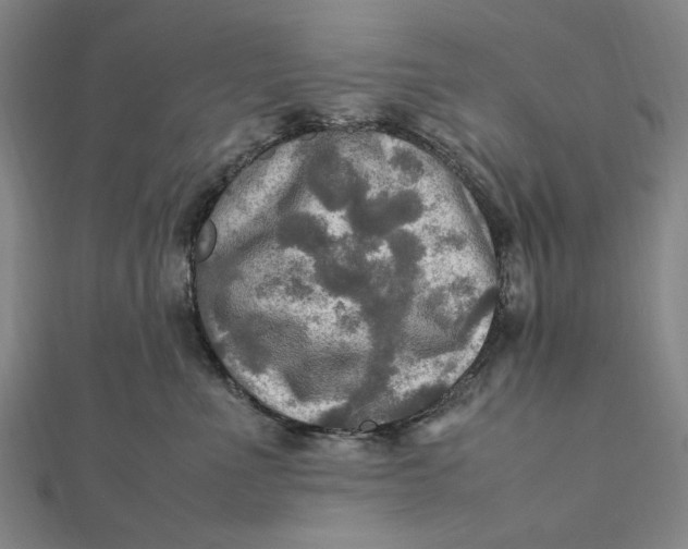 X0000112010523200908241457