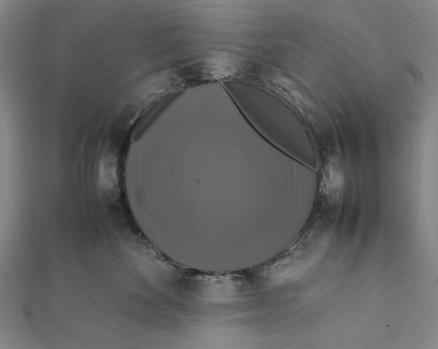 X0000112010524200908241457