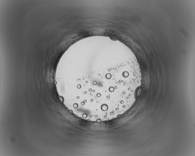 X0000112010525200908241457