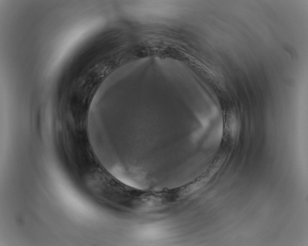 X0000112010526200908241457