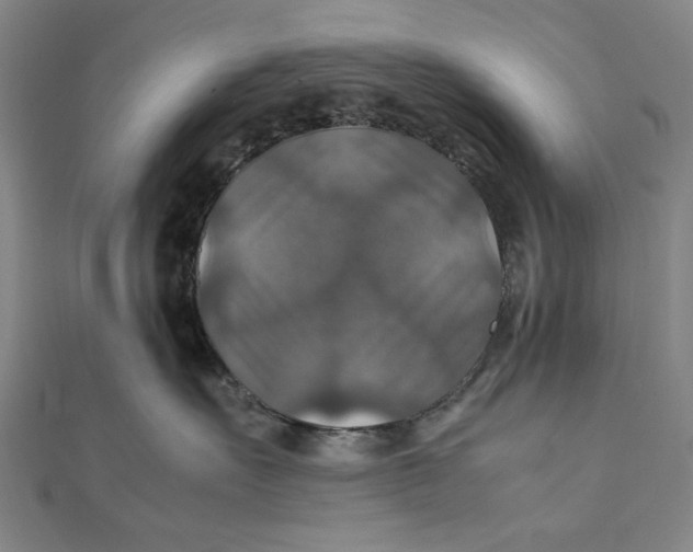 X0000112010527200908241457