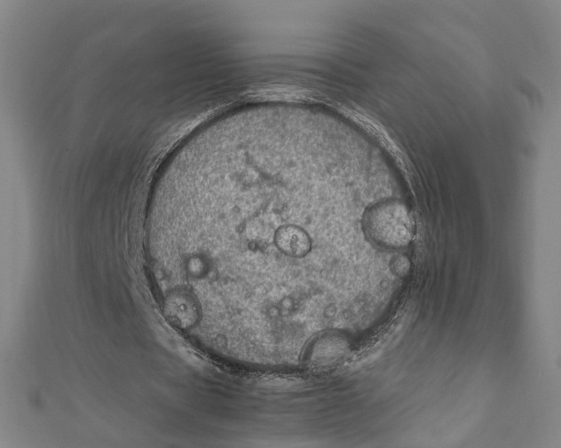 X0000112010529200908241457