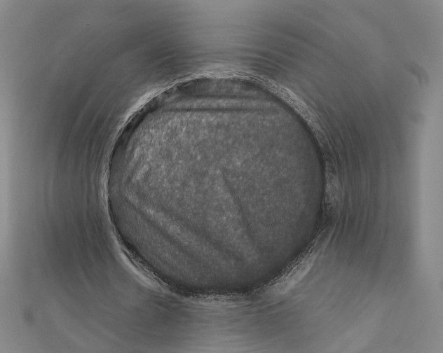 X0000112010530200908241457