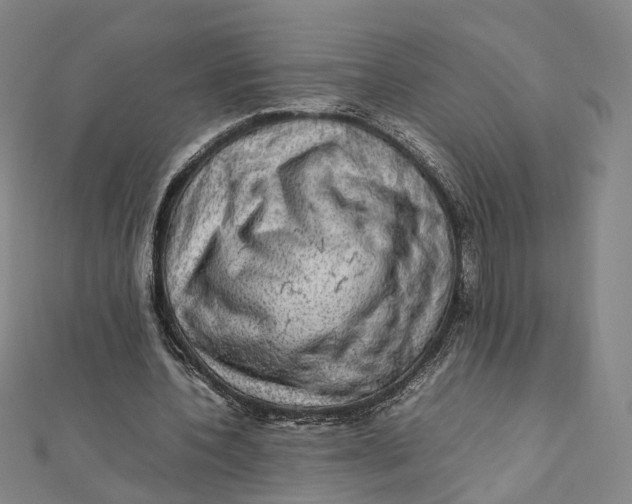 X0000112010532200908241457