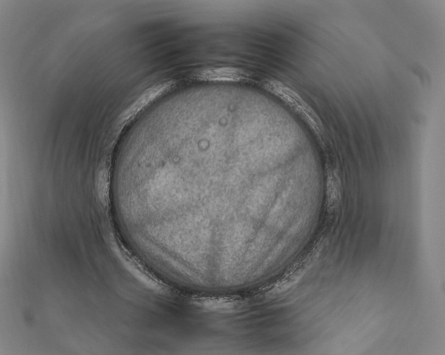 X0000112010533200908241457