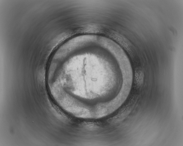 X0000112010534200908241457