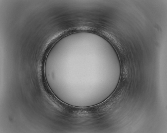 X0000112010535200908241457