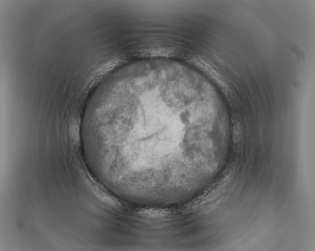 X0000112010537200908241457