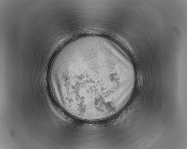 X0000112010538200908241457