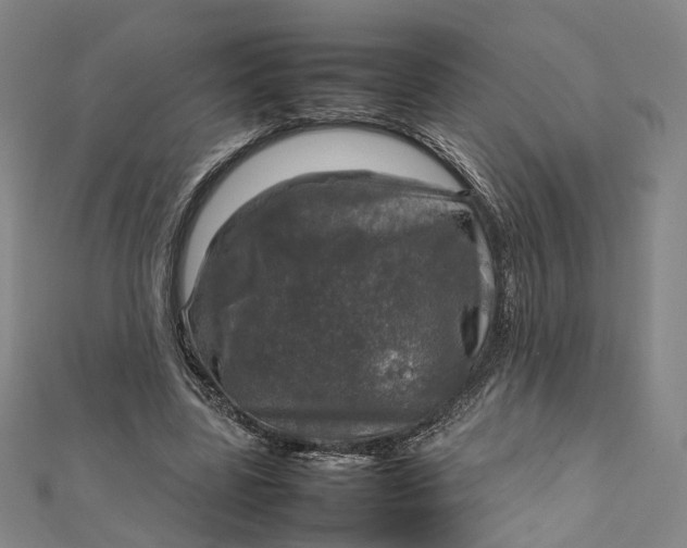 X0000112010539200908241457