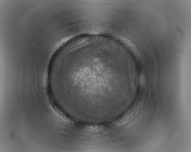 X0000112010540200908241457