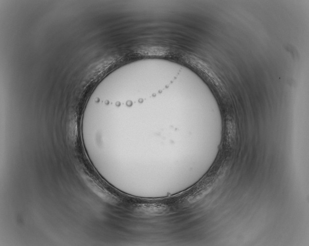 X0000112010541200908241457