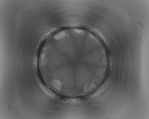 X0000112010542200908241457